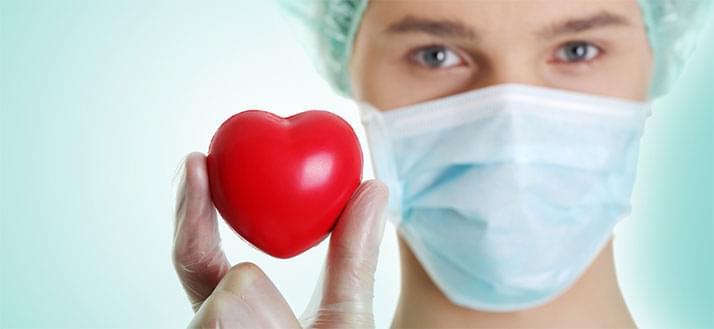 chip program szív egészsége